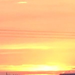 Meet your Posher, Bryant